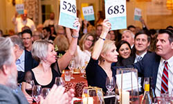 Gourmet & Grapes attendees seated at tables hold up their bid cards during the auction